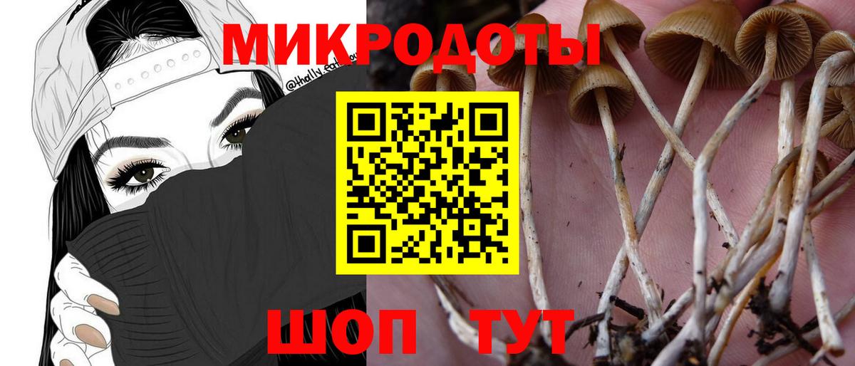 Псилоцибиновые грибы ЛСД Азнакаево